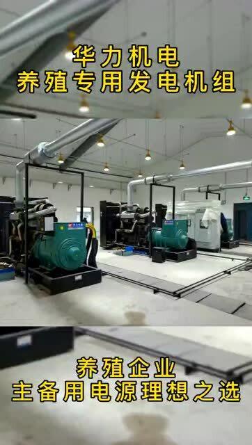 華力畜牧養殖專用發電機組 穩定供電與節能環保，護航養殖企業溫暖過冬